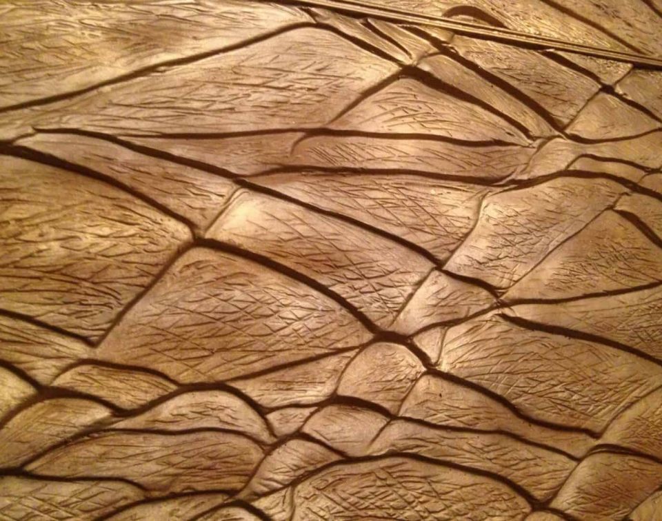 Elefant nah-2IMG_4798