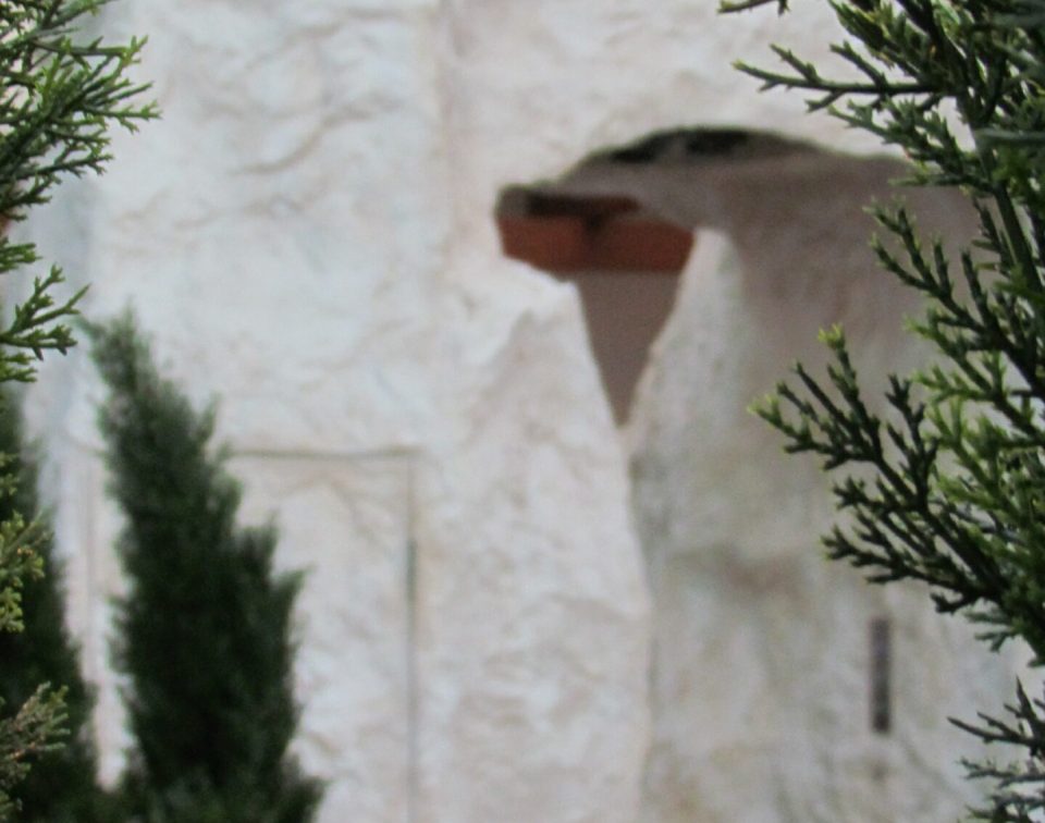 Felswandaida fein 059