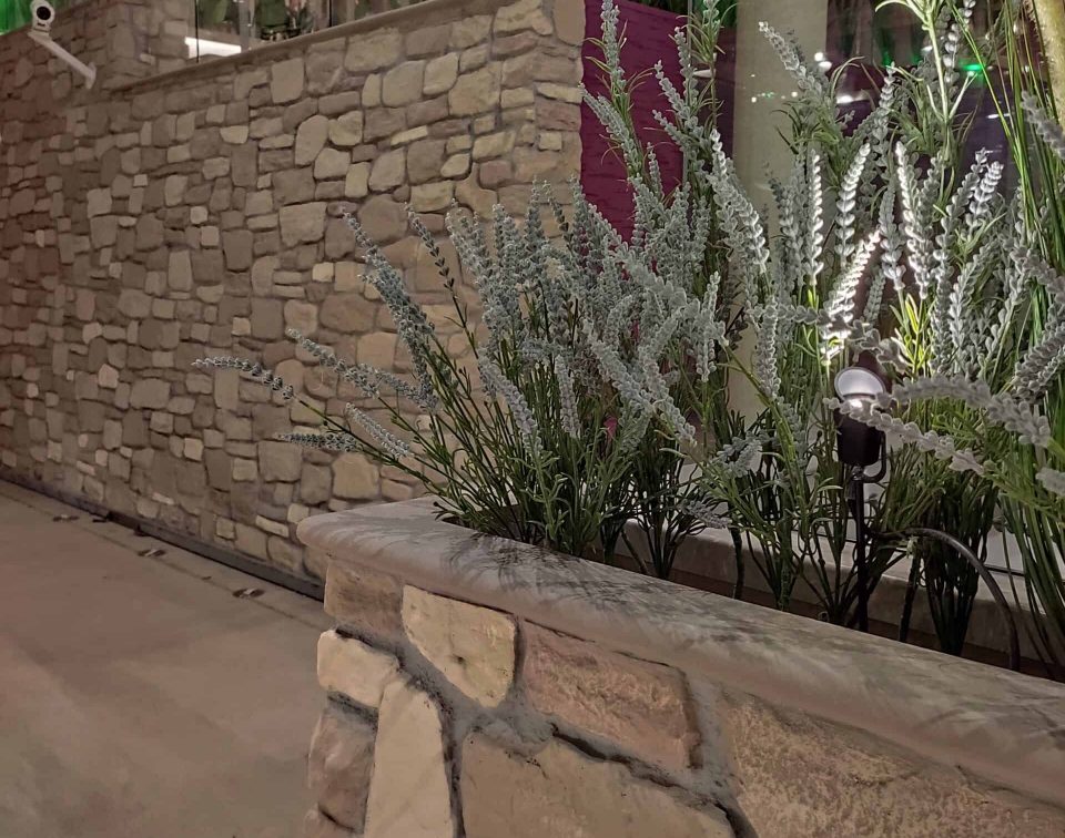 ???????????????????????????????????????????????????????????????????????????????????????????????????????????????????????????????????????????????????????????????????????????????????????????????????????????????????????????????????????????????????????????????????????????????????????????????????????????????????¶??????????????????????????????????????????????????????????????????????????????????????????????????????????ø??????????????????????????????????????????????????????????????????????????????????????????????????????????????????????????????????????????????????????????????????????????????????????????????????????????????????????????????????????????????????????????????????????????????????????????????????????????????????????????????????????????????Æ?????????????????????????????????????????????????????????????????????]????????????????????????????????????????????????????????????????????????????????????????????????????????????????????????????????????????????????????????????????????????????????????????????????????????????